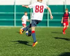 塞阿拉对决,巴西国际,巴甲赛事前,EVO真人视讯,EVO真人,(Sports),EVO视讯官网,EVO真人官方平台